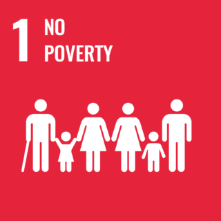 GOAL 1: NO POVERTY