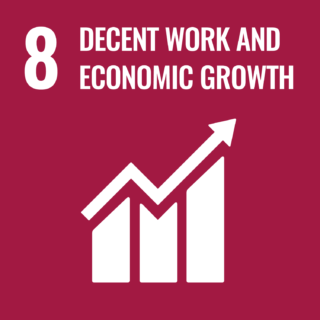 GOAL 8: DECENT WORK AND ECONOMIC GROWTH