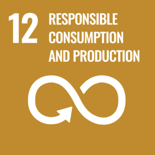 GOAL 12: RESPONSIBLE CONSUMPTION AND PRODUCTION