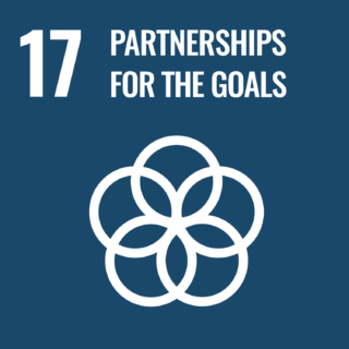 GOAL 17: PARTNERSHIPS FOR THE GOALS